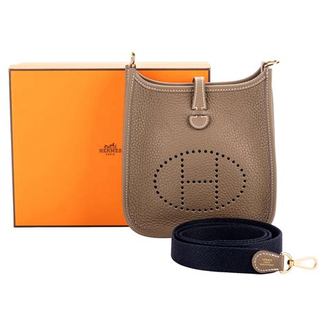 evelyn hermes gm v pm|hermes evelyne h logo.